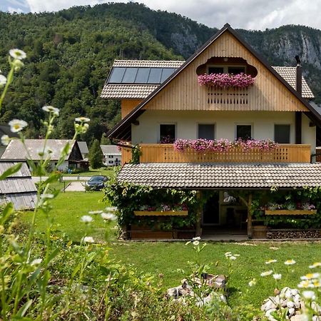 Trisa Apartments Bohinji-tó Kültér fotó