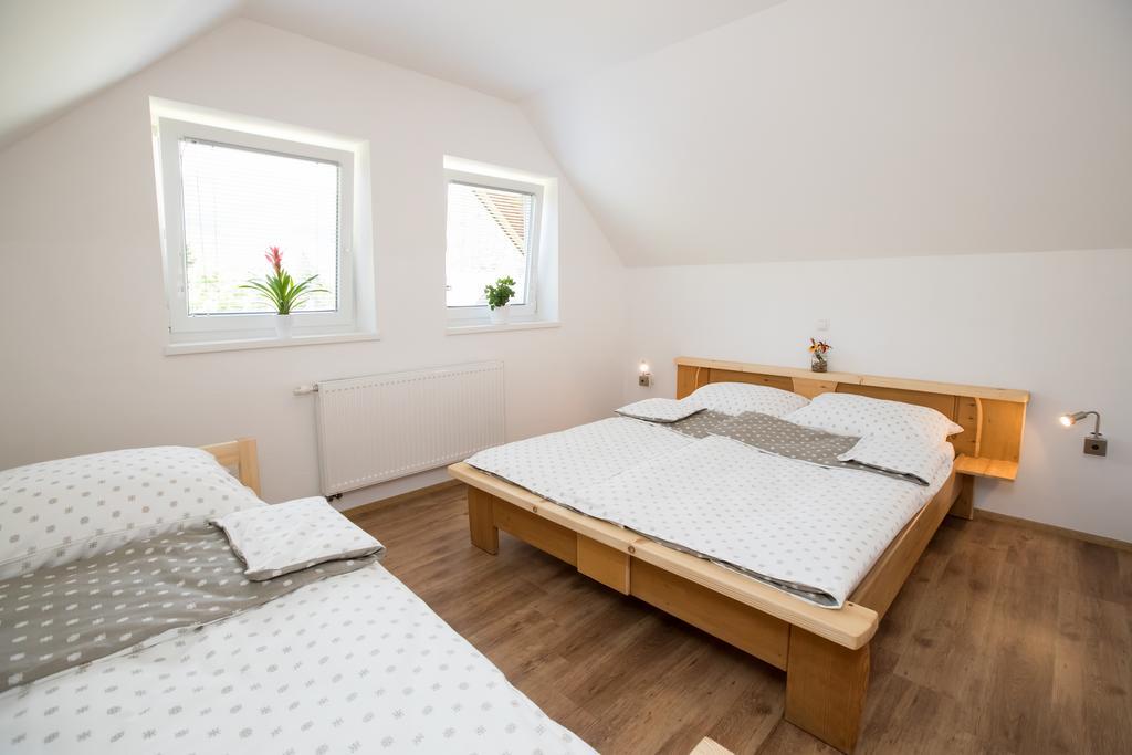 Trisa Apartments Bohinji-tó Kültér fotó