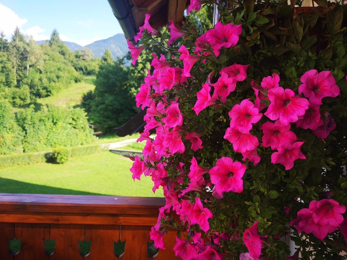 Trisa Apartments Bohinji-tó Kültér fotó